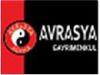 Avrasya Gayrimenkul In   