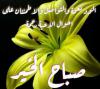 وليد حسان فى   