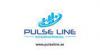 PULSE LINE INTERNATIONAL REAL ESTATE L.L.C In   