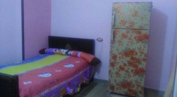 شقة للإيجار فى شاطئ النخيل - 6 اكتوبر - قسم العامرية - الإسكندرية