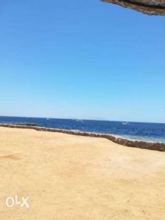شقة للإيجار فى السيوف بحري - قسم المنتزه - الإسكندرية