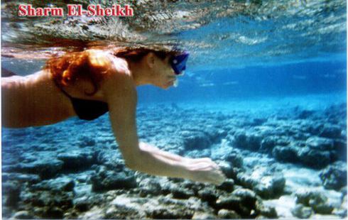 Holiday Villa For Rent In Qesm Sharm Ash Sheikh - South Sinai