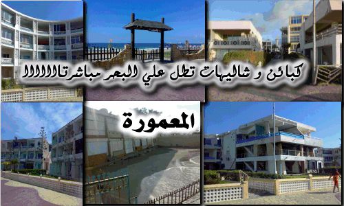 شقة للإيجار فى المعمورة - قسم المنتزه - الإسكندرية
