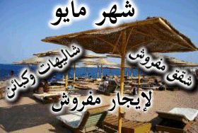 شقة للإيجار فى المعمورة - قسم المنتزه - الإسكندرية