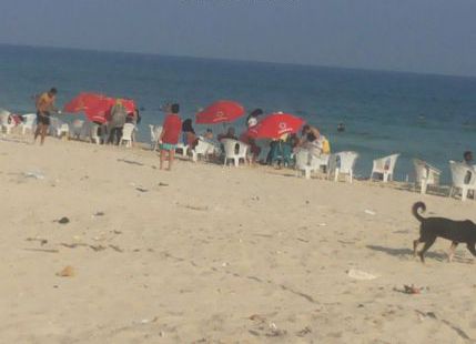 شقة للإيجار فى شاطئ النخيل - 6 اكتوبر - قسم العامرية - الإسكندرية