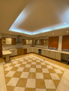 فيلا للإيجار