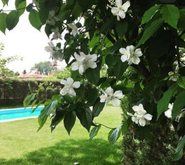 Villa For Rent In Pamukova - Sakarya