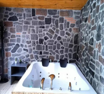 Villa For Rent In Sapanga - Sakarya