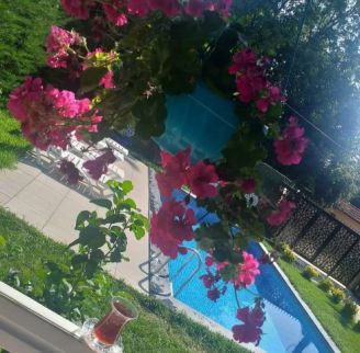 Villa For Rent In Kocaeli