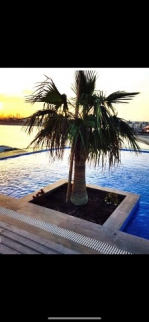 Apartment For Rent In Muharraq