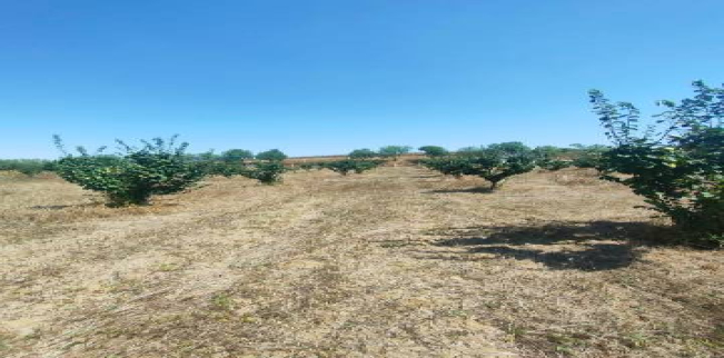 Land For Sale In Malkara - Tekirdag